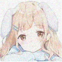 用户 胶片收藏家 头像